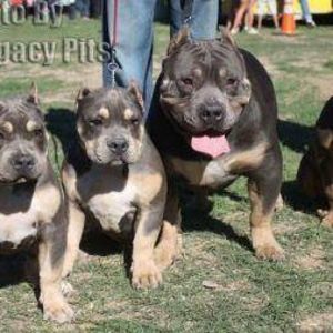 Meet your Posher, Bikelifeboyz forlife